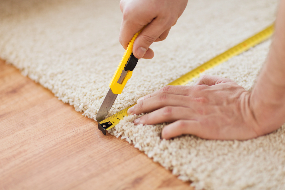 Professional Carpet Cleaning