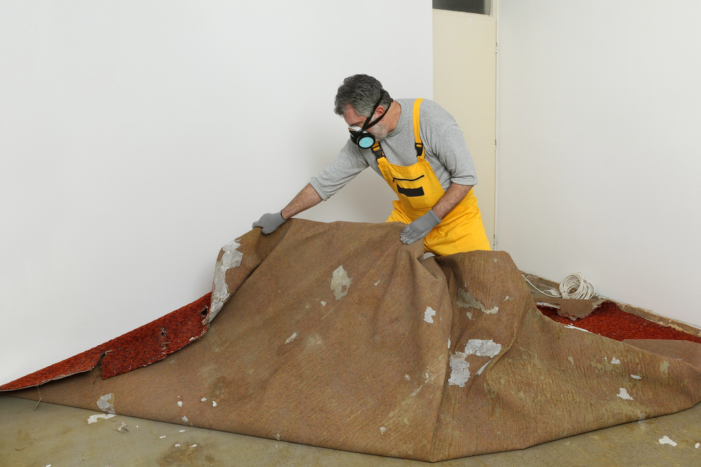 Upholstery Cleaning