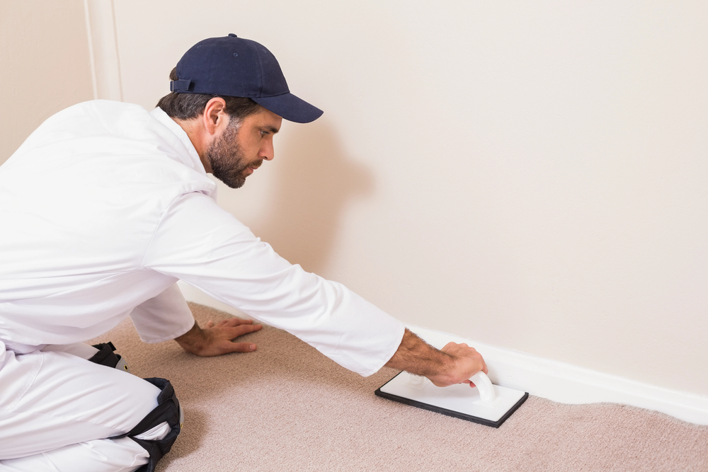 Residential Carpet Cleaning Forney TX